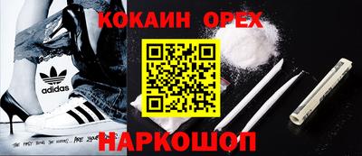кокс Донской