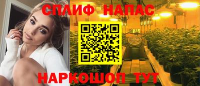 кокс Донской