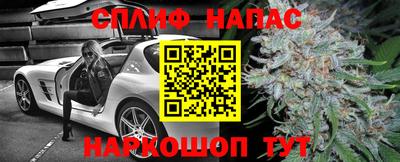 кокс Донской